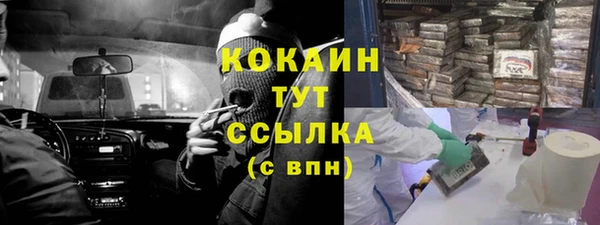 Альфа ПВП Корсаков