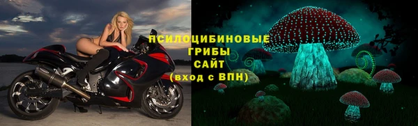 Альфа ПВП Корсаков
