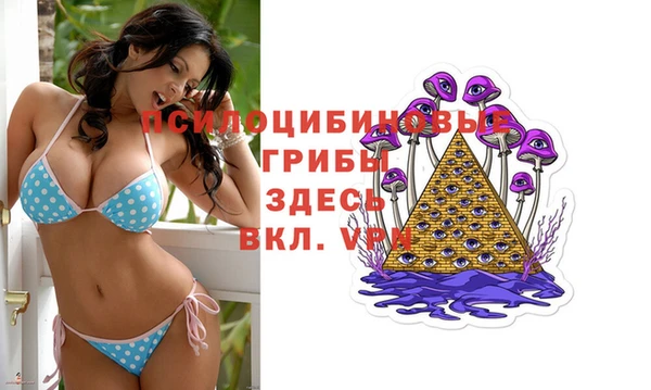 Альфа ПВП Корсаков